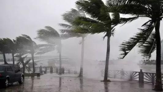 8月臺風(fēng)雨即將來，除濕機還得用起來