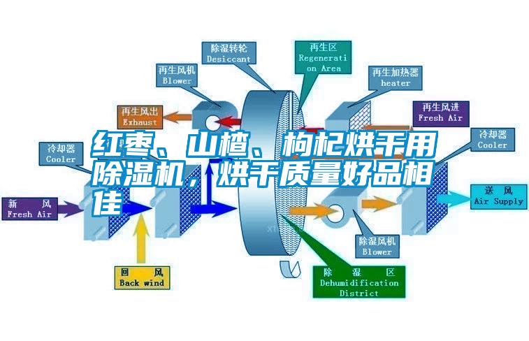 紅棗、山楂、枸杞烘干用除濕機(jī)，烘干質(zhì)量好品相佳