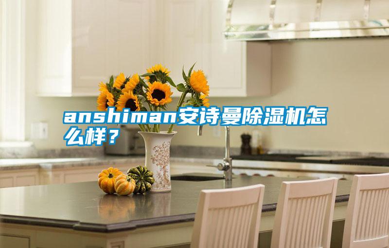 anshiman安詩曼除濕機怎么樣？