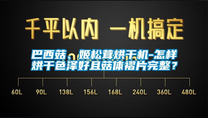 巴西菇、姬松茸烘干機-怎樣烘干色澤好且菇體褶片完整？