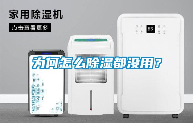 為何怎么除濕都沒用？