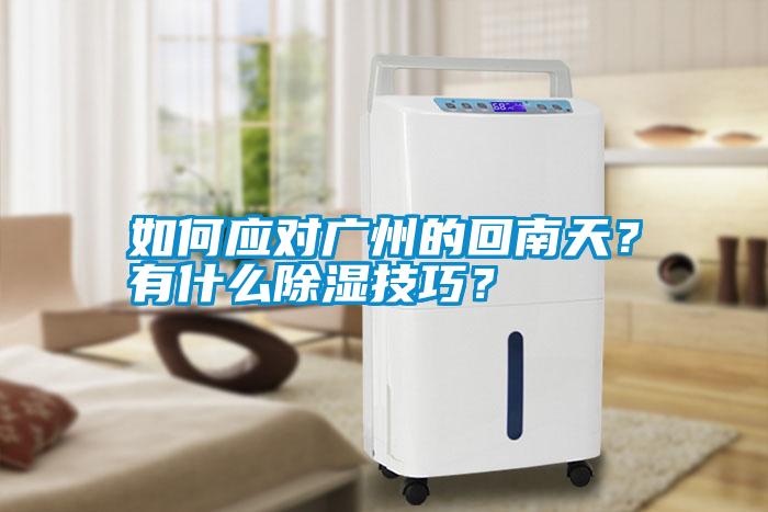 如何應對廣州的回南天？有什么除濕技巧？