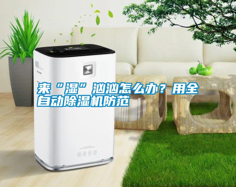 來(lái)“濕”洶洶怎么辦？用全自動(dòng)除濕機(jī)防范