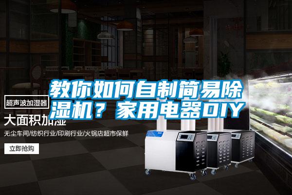 教你如何自制簡易除濕機？家用電器DIY