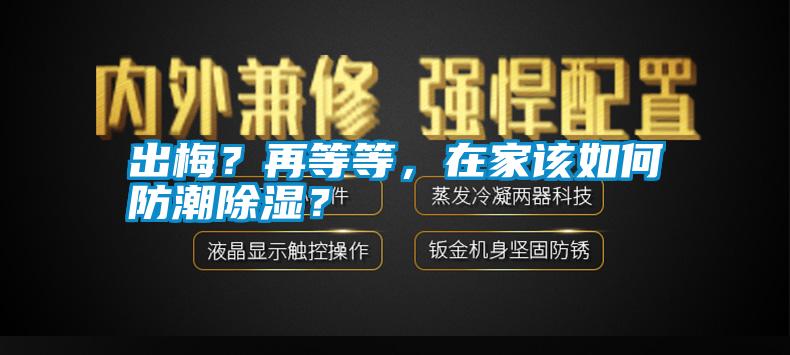 出梅？再等等，在家該如何防潮除濕？