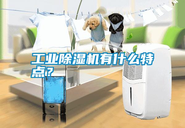 工業(yè)除濕機有什么特點？