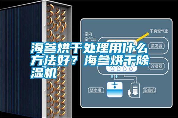 海參烘干處理用什么方法好？海參烘干除濕機(jī)