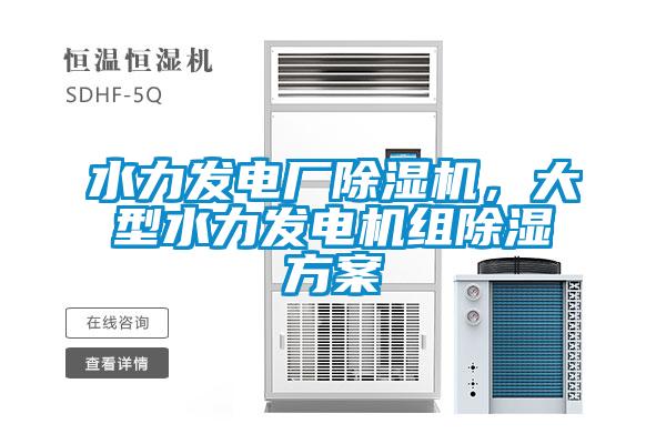 水力發(fā)電廠除濕機(jī)，大型水力發(fā)電機(jī)組除濕方案