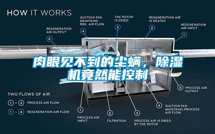 肉眼見不到的塵螨，除濕機(jī)竟然能控制