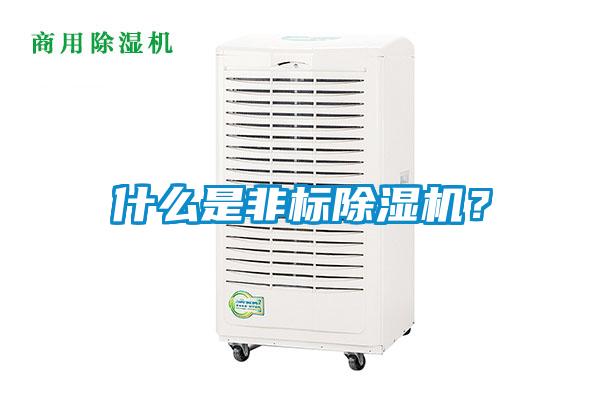 什么是非標除濕機？