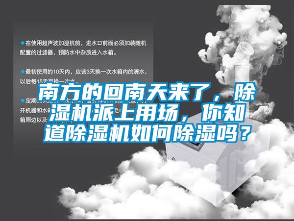 南方的回南天來了，除濕機派上用場，你知道除濕機如何除濕嗎？