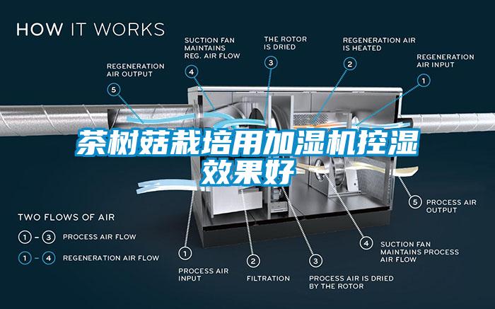 茶樹菇栽培用加濕機控濕效果好