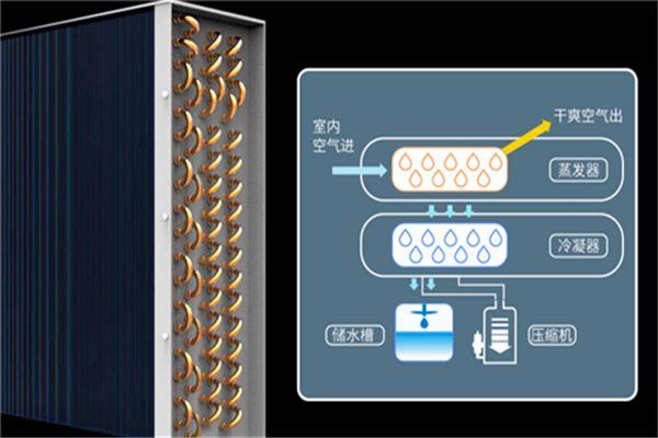 新風(fēng)除濕機(jī)為什么越來受歡迎呢