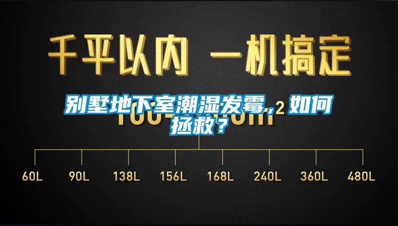 別墅地下室潮濕發(fā)霉，如何拯救？