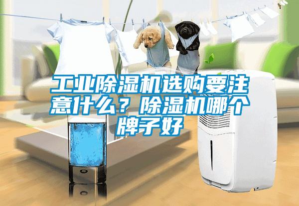 工業(yè)除濕機選購要注意什么？除濕機哪個牌子好