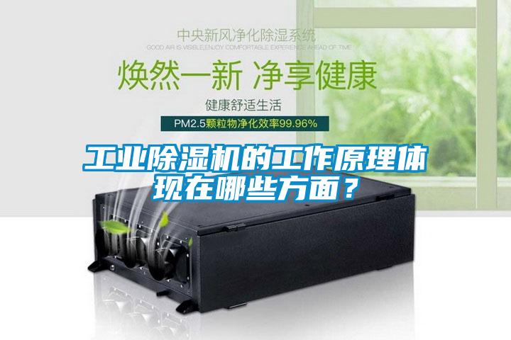 工業(yè)除濕機的工作原理體現(xiàn)在哪些方面？