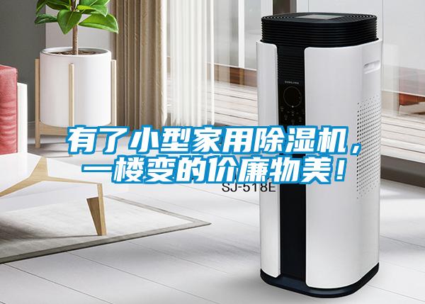 有了小型家用除濕機(jī)，一樓變的價(jià)廉物美！