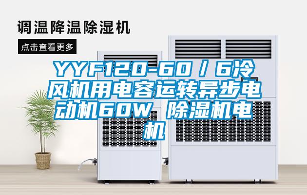 YYF120-60／6冷風(fēng)機(jī)用電容運(yùn)轉(zhuǎn)異步電動(dòng)機(jī)60W 除濕機(jī)電機(jī)