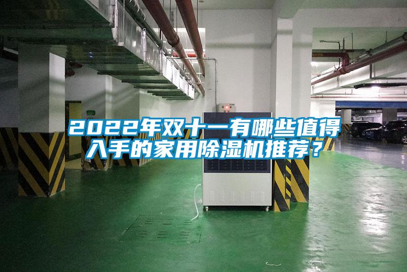 2022年雙十一有哪些值得入手的家用除濕機推薦？