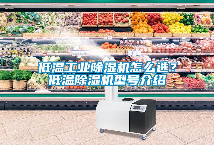 低溫工業(yè)除濕機怎么選？低溫除濕機型號介紹