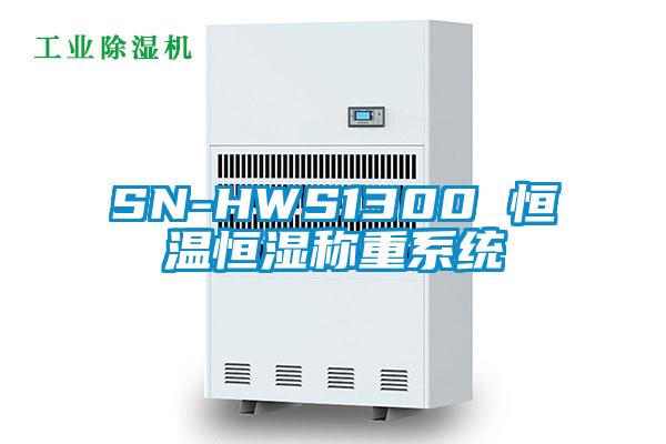 SN-HWS1300 恒溫恒濕稱重系統(tǒng)