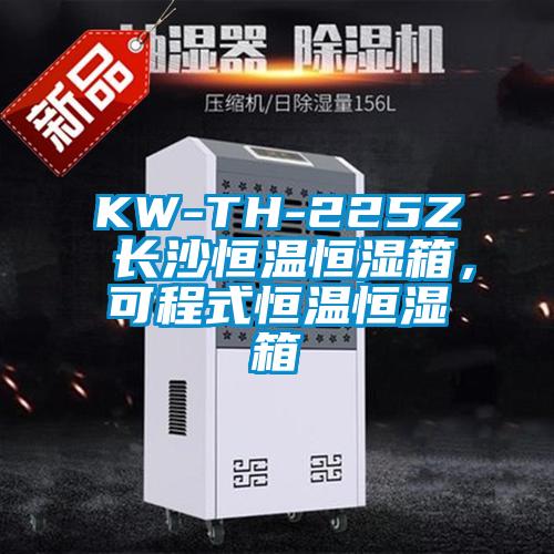 KW-TH-225Z 長沙恒溫恒濕箱，可程式恒溫恒濕箱