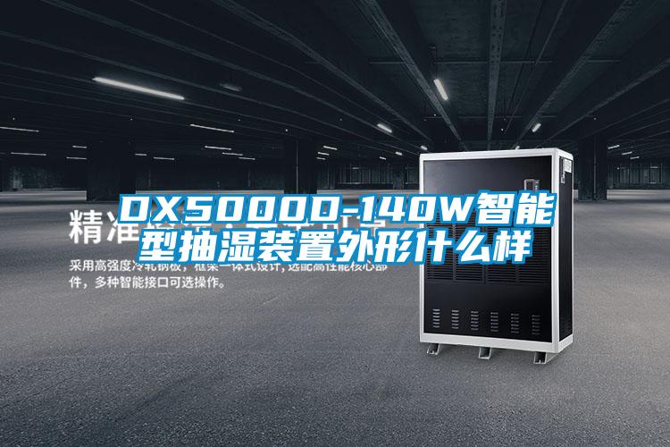 DX5000D-140W智能型抽濕裝置外形什么樣