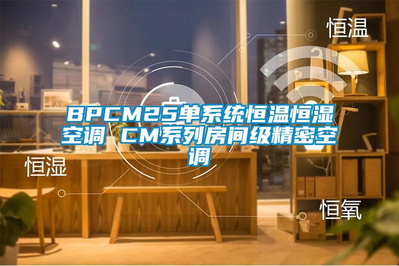 BPCM25單系統(tǒng)恒溫恒濕空調 CM系列房間級精密空調