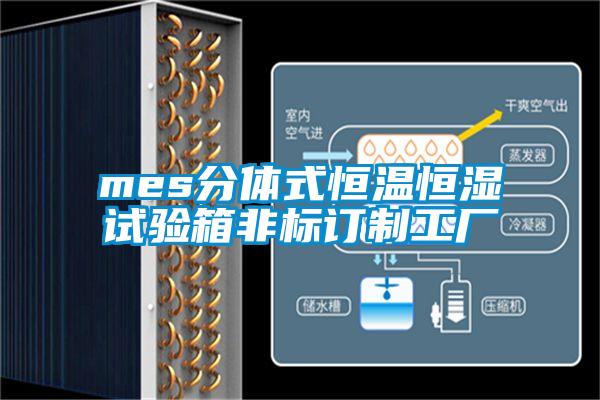 mes分體式恒溫恒濕試驗箱非標訂制工廠