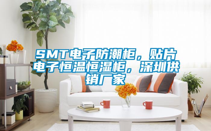 SMT電子防潮柜，貼片電子恒溫恒濕柜，深圳供銷(xiāo)廠(chǎng)家