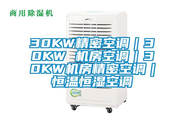 30KW精密空調(diào)｜30KW 機(jī)房空調(diào)｜30KW機(jī)房精密空調(diào)｜恒溫恒濕空調(diào)