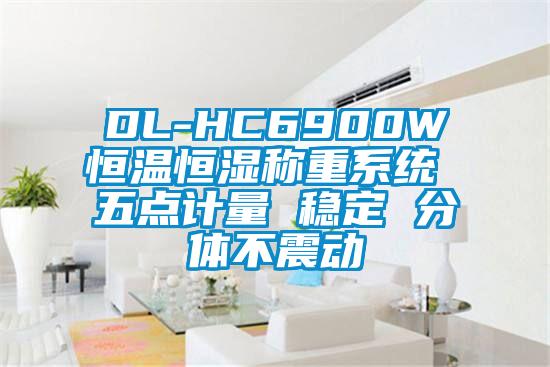 DL-HC6900W恒溫恒濕稱(chēng)重系統(tǒng) 五點(diǎn)計(jì)量 穩(wěn)定 分體不震動(dòng)