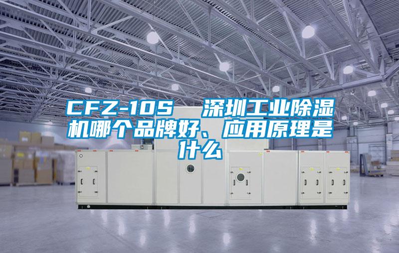 CFZ-10S  深圳工業(yè)除濕機哪個品牌好、應用原理是什么