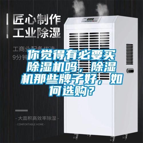 你覺得有必要買除濕機嗎，除濕機那些牌子好，如何選購？