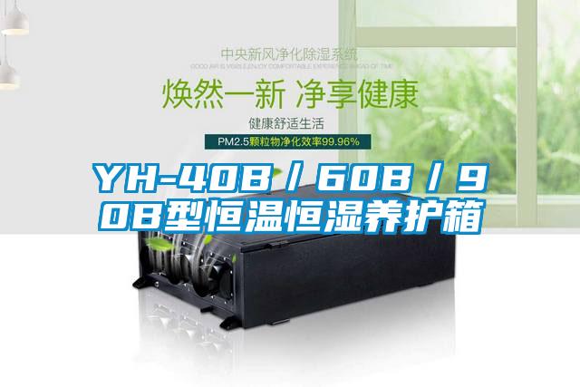 YH-40B／60B／90B型恒溫恒濕養(yǎng)護(hù)箱