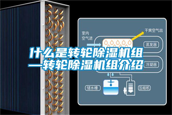 什么是轉(zhuǎn)輪除濕機組—轉(zhuǎn)輪除濕機組介紹