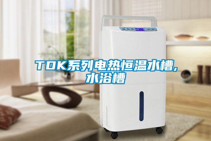 TDK系列電熱恒溫水槽,水浴槽