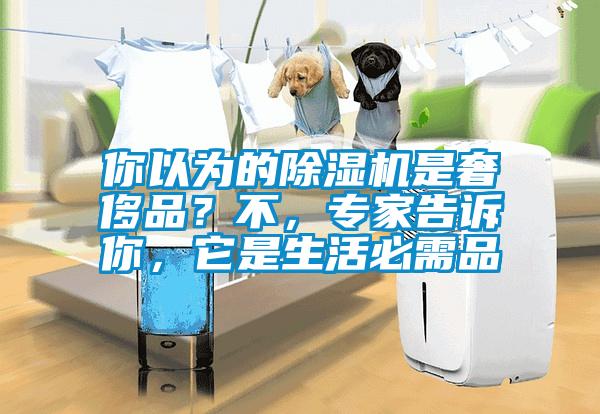 你以為的除濕機(jī)是奢侈品？不，專家告訴你，它是生活必需品