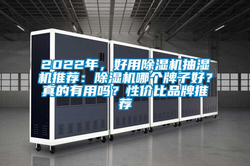 2022年，好用除濕機抽濕機推薦：除濕機哪個牌子好？真的有用嗎？性價比品牌推薦