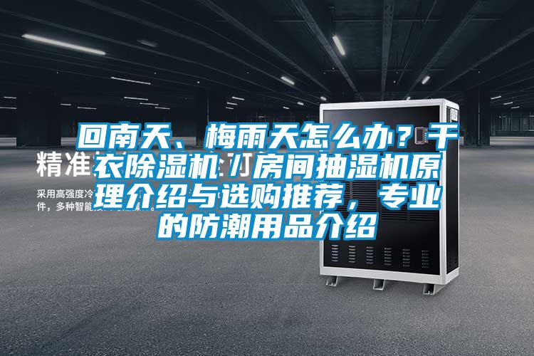 回南天、梅雨天怎么辦？干衣除濕機／房間抽濕機原理介紹與選購推薦，專業(yè)的防潮用品介紹