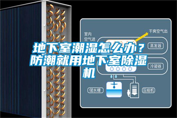 地下室潮濕怎么辦？防潮就用地下室除濕機(jī)