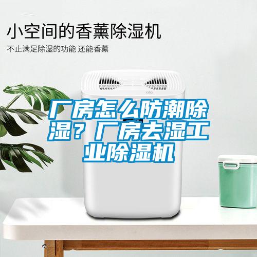 廠房怎么防潮除濕？廠房去濕工業(yè)除濕機