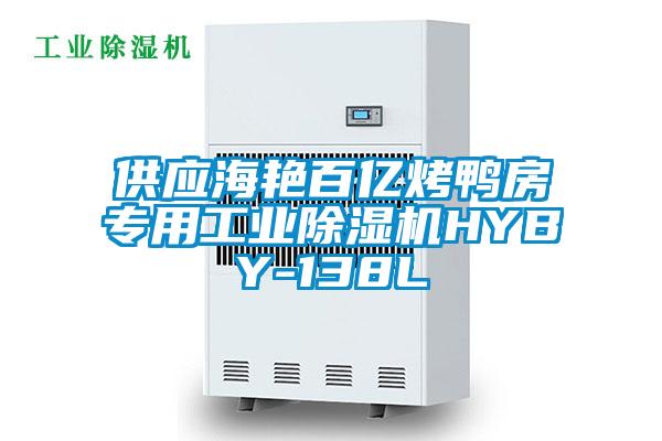 供應(yīng)海艷百億烤鴨房專用工業(yè)除濕機HYBY-138L