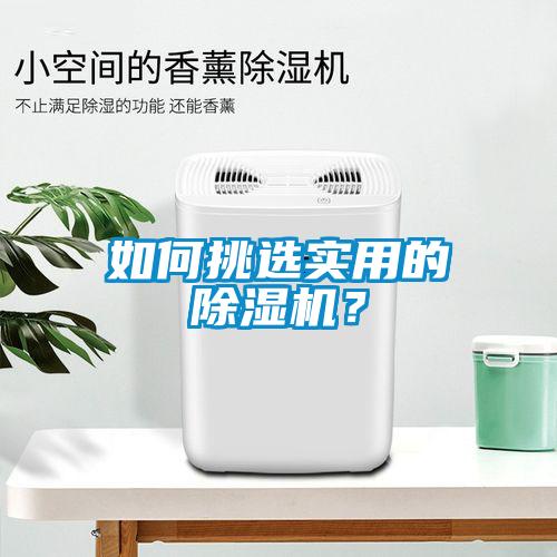 如何挑選實(shí)用的除濕機(jī)？