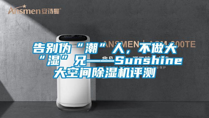 告別偽“潮”人，不做大“濕”兄——Sunshine大空間除濕機評測