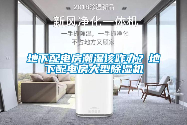 地下配電房潮濕該咋辦？地下配電房大型除濕機