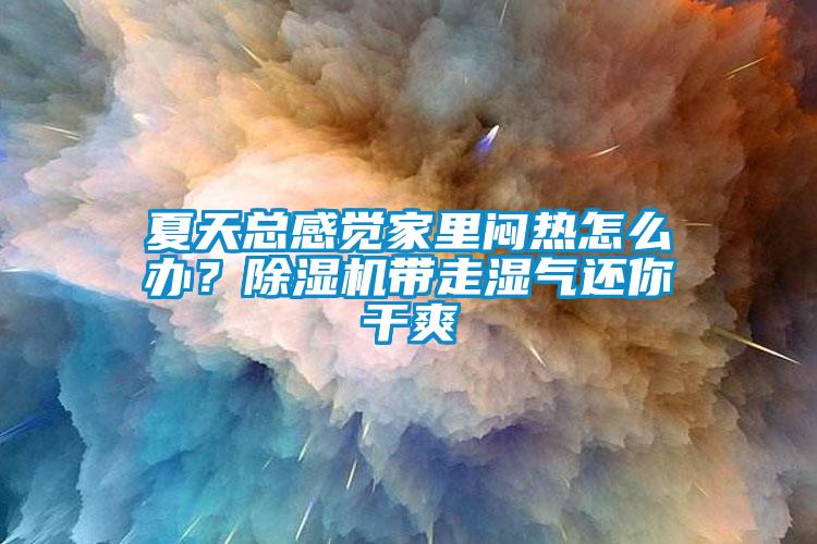 夏天總感覺家里悶熱怎么辦？除濕機帶走濕氣還你干爽