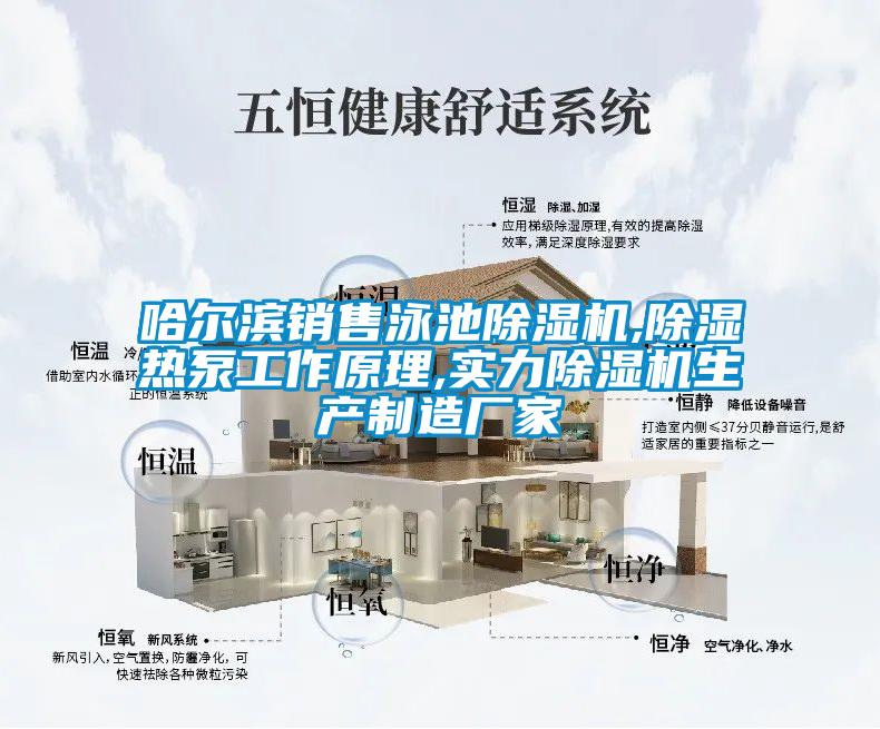 哈爾濱銷售泳池除濕機,除濕熱泵工作原理,實力除濕機生產(chǎn)制造廠家