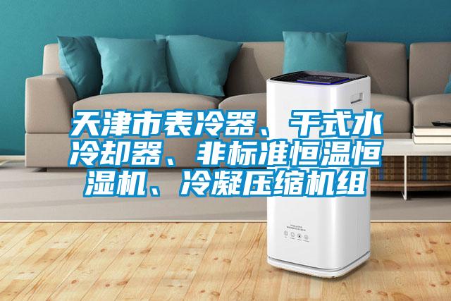 天津市表冷器、干式水冷卻器、非標準恒溫恒濕機、冷凝壓縮機組