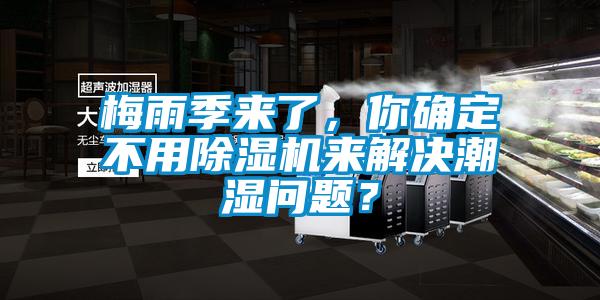 梅雨季來了，你確定不用除濕機(jī)來解決潮濕問題？